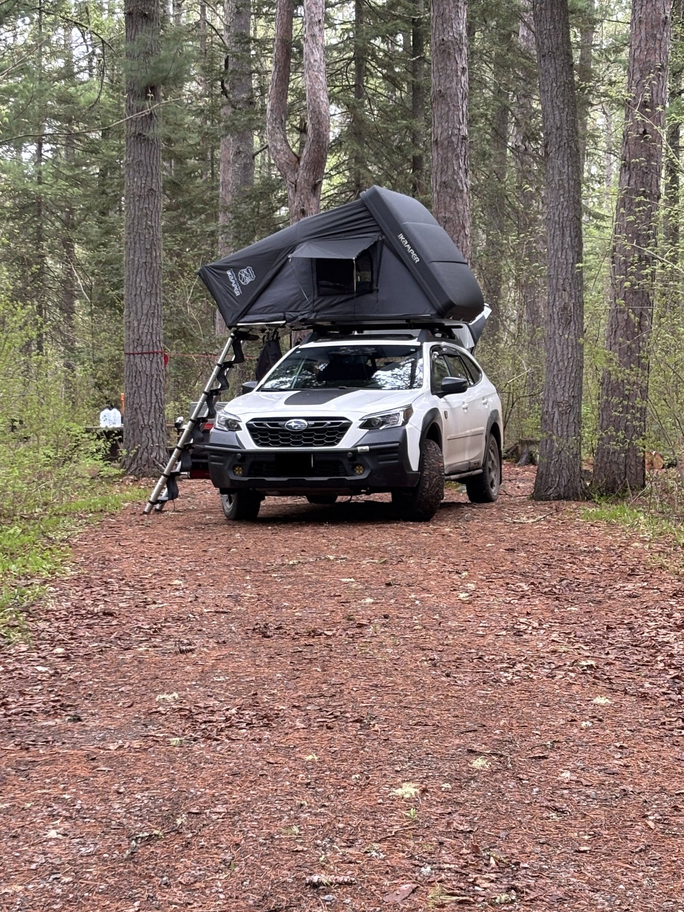 iKamper Skycamp 3.0 Mini hardshell rooftop tent opened on the roof rack of a white Subaru Outback Wilderness at a pine-forest campsite, black shell and canopy with the side window unzipped and the telescoping ladder extended to the ground — photo 1