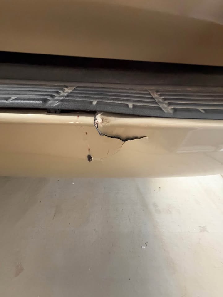 2011 Lexus LX · LX 570 Sport Utility 4D in San Tan Valley, AZ (photo 12) — photo 12