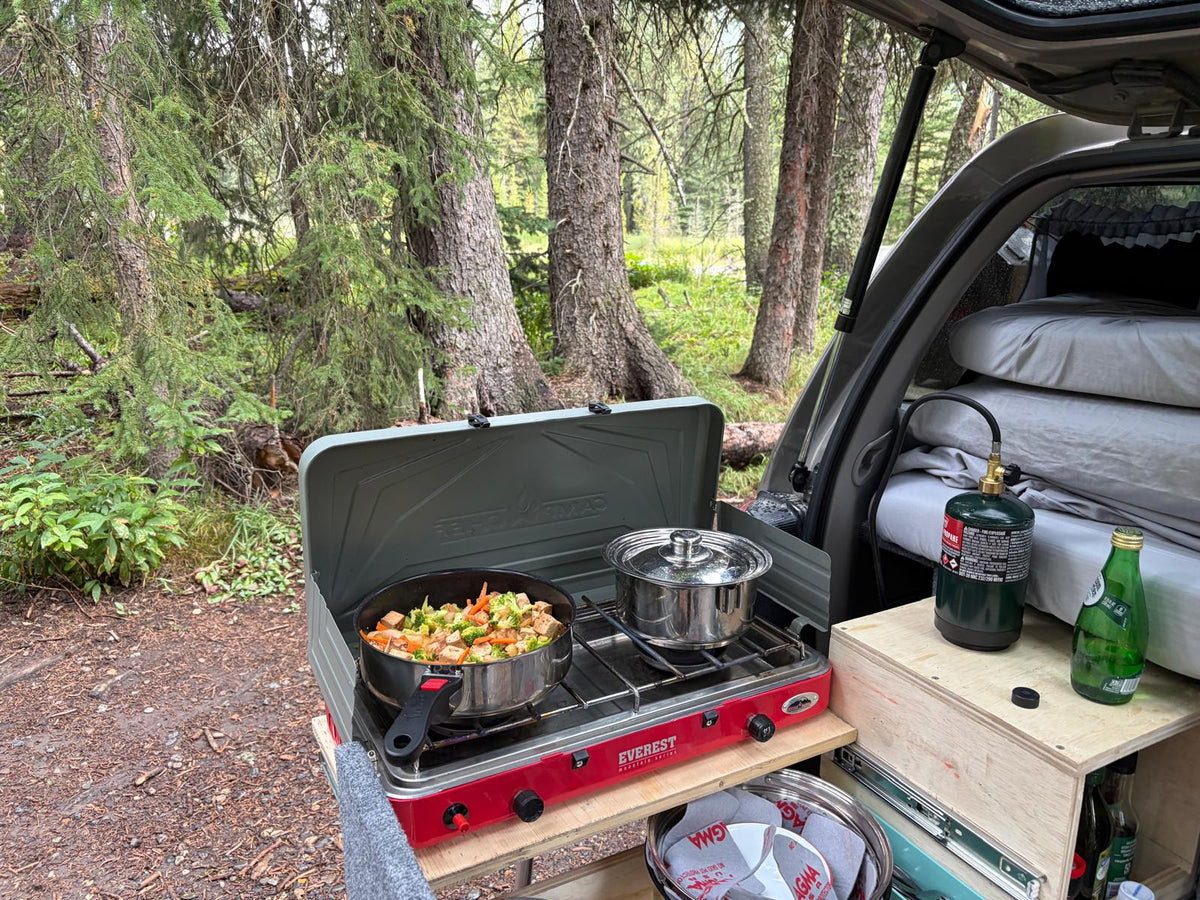 2002 Toyota 4Runner 2WD – Camper Conversion – 150K Miles — photo 8