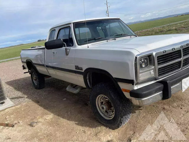 1993 Dodge 250 Pickup — photo 3