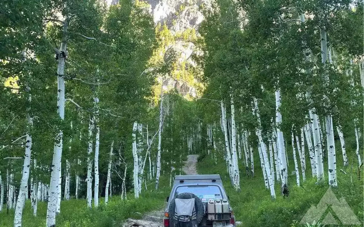 1995 Toyota Land Cruiser — used overland rig for sale in Grand Junction, CO (photo 4) — photo 4