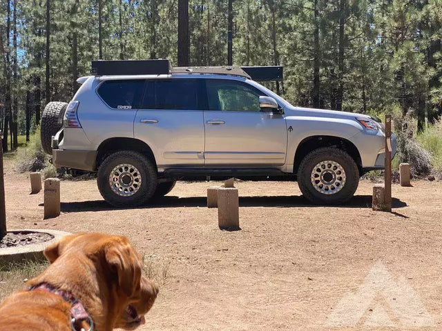 2017 Lexus GX 460 — photo 3