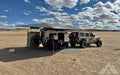 2023 Outbound T-Rex