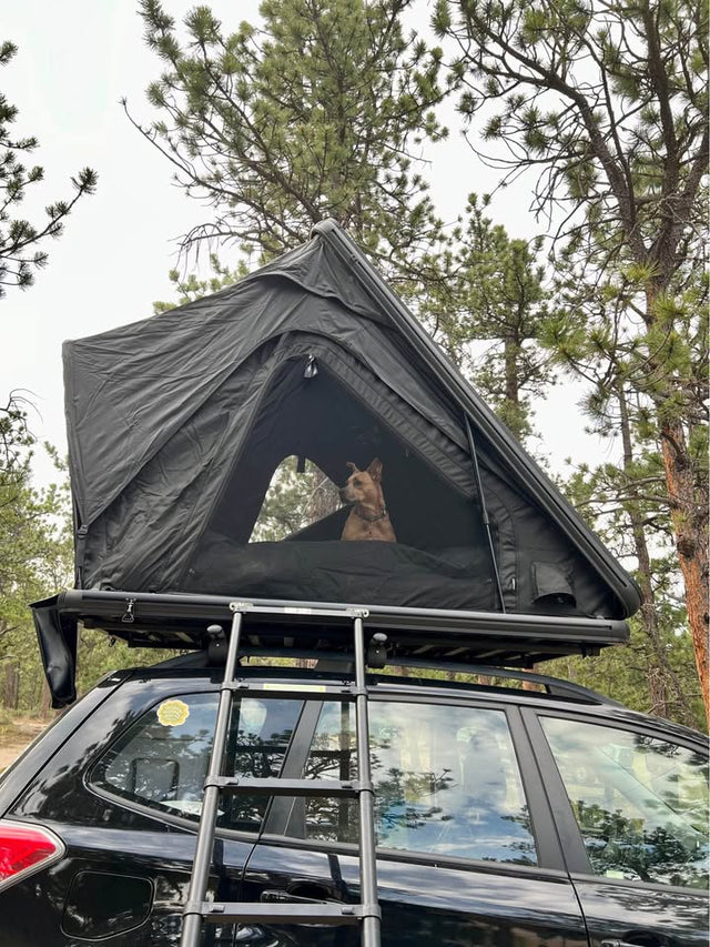 FSR Aspen Lite Hardshell Rooftop Tent — photo 3