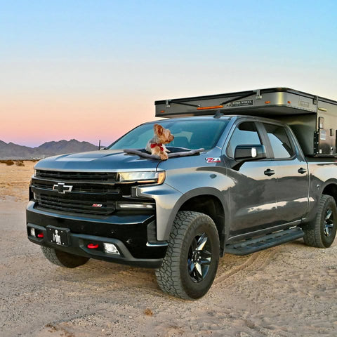 2020 Chevrolet Trailboss Silverado 1500 w/ Raven FWC