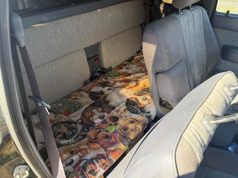 1998 Toyota Tacoma SR5 4x4 V6 – 5-Speed – WilderNest Camper in Silverthorne, CO (photo 9) — photo 9