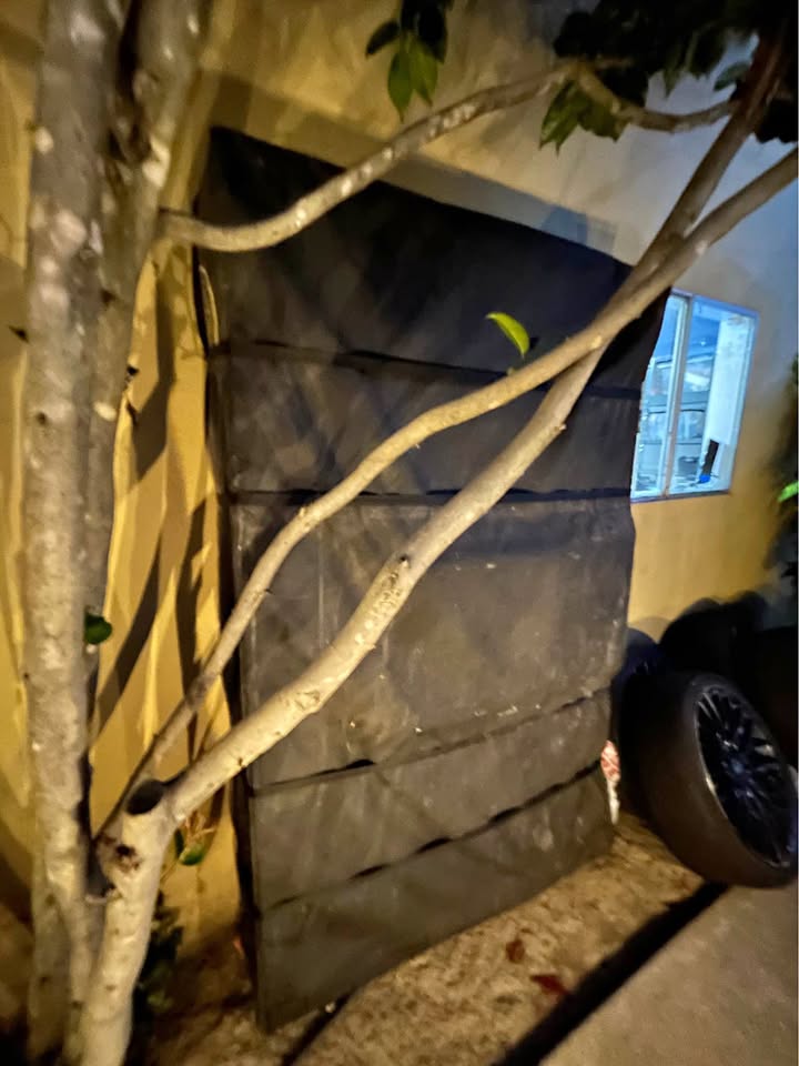 Smittybilt Gen2 Overlander XL Rooftop Tent (2683) in San Jose, CA (photo 1) — photo 1