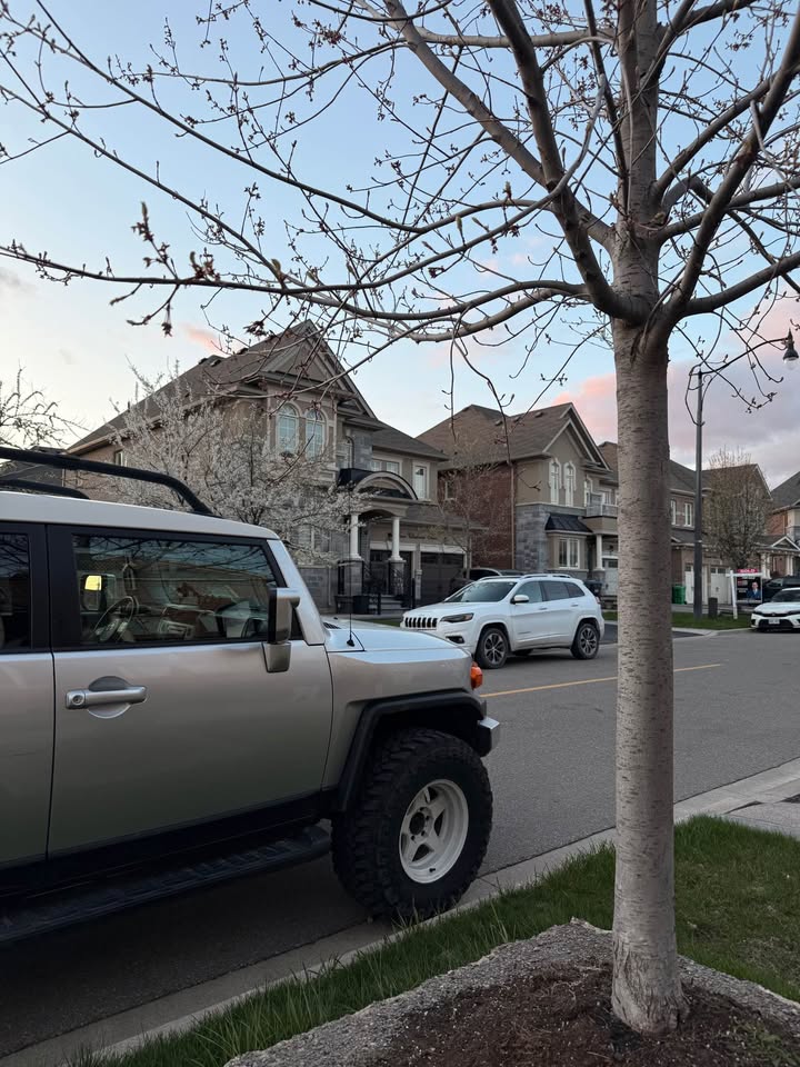 2007 Toyota FJ Cruiser in Kitchener, ON (photo 3)
