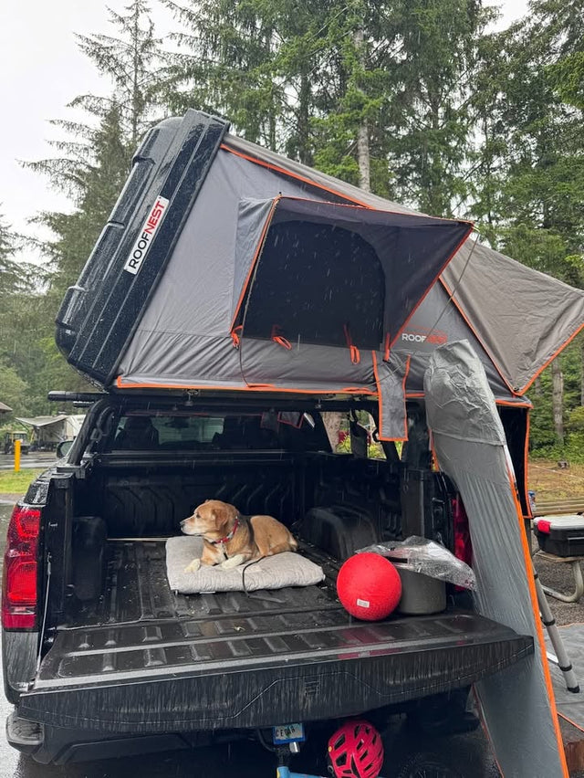 Roofnest condor XL — photo 3