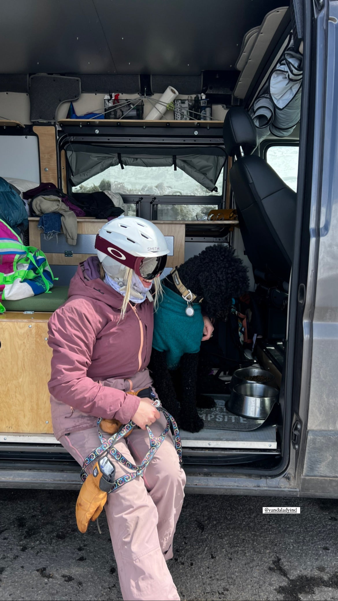Inside a comfy **rv rental**: a skier with their dog unwinding in a custom camper van amidst a snowy landscape.