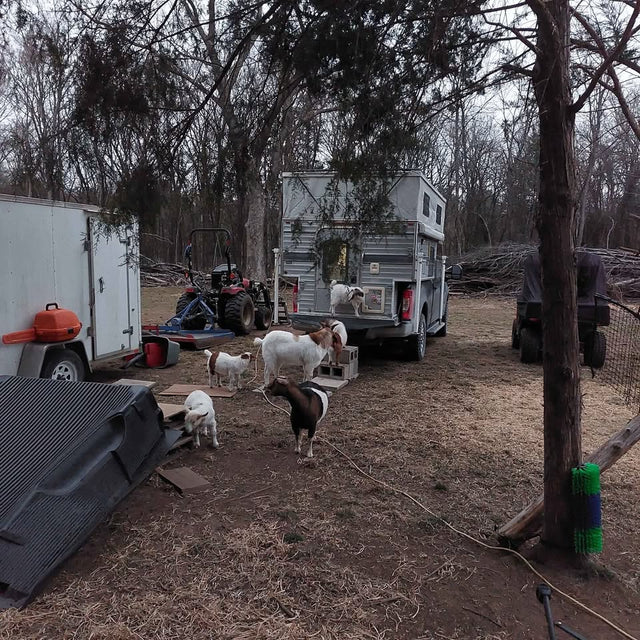 2015 Four Wheel Camper grandby — photo 3