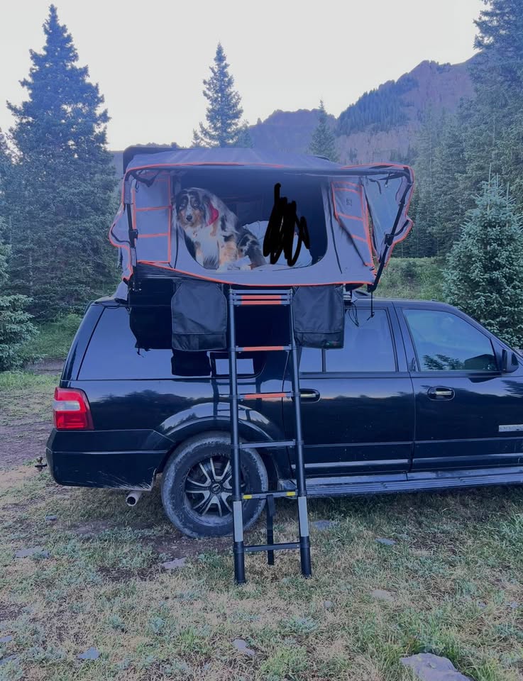 Roofnest Condor 2 XL in Littleton, CO (photo 6)