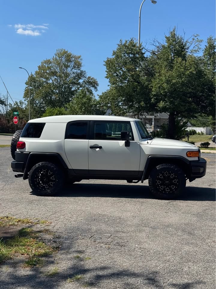 2010 Toyota FJ Cruiser (photo 4) — photo 4