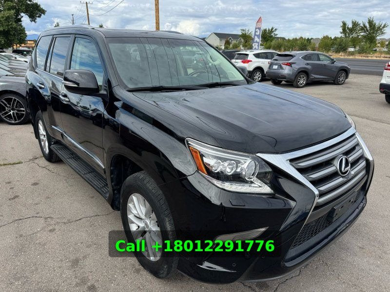 2019 Lexus GX 460 Premium B4EDB3 (photo 8) — photo 8
