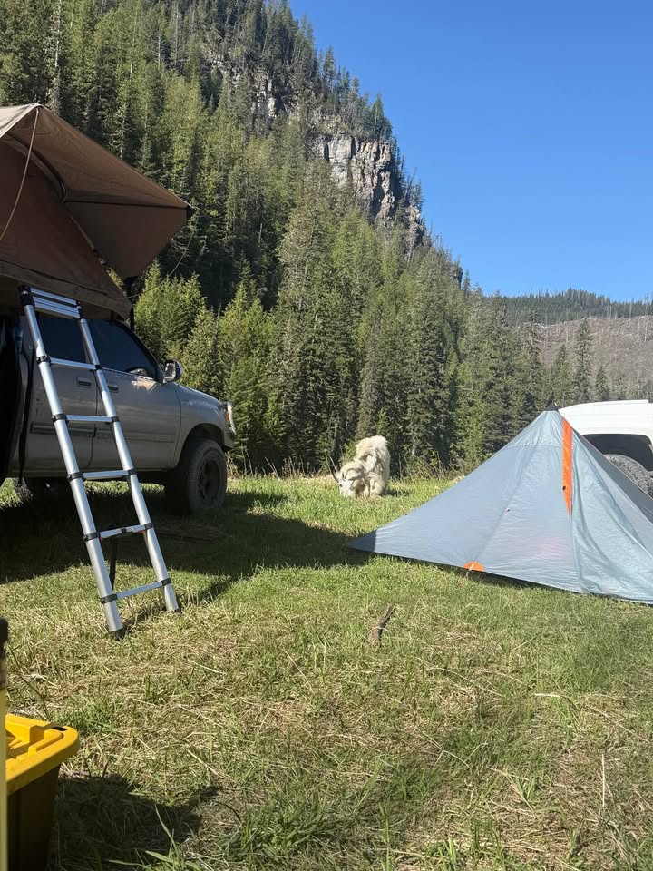 Roof top tent and bed rack in Hamilton, MT (photo 4) — photo 4