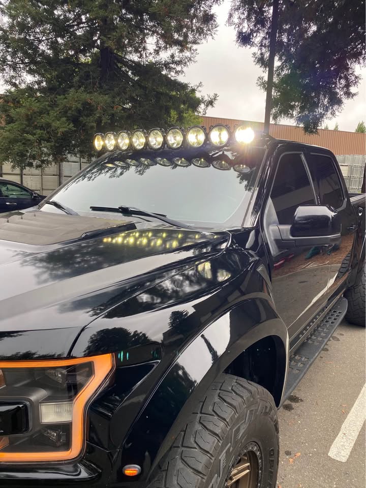 2018 Ford F-150 · Raptor (photo 10) — photo 10