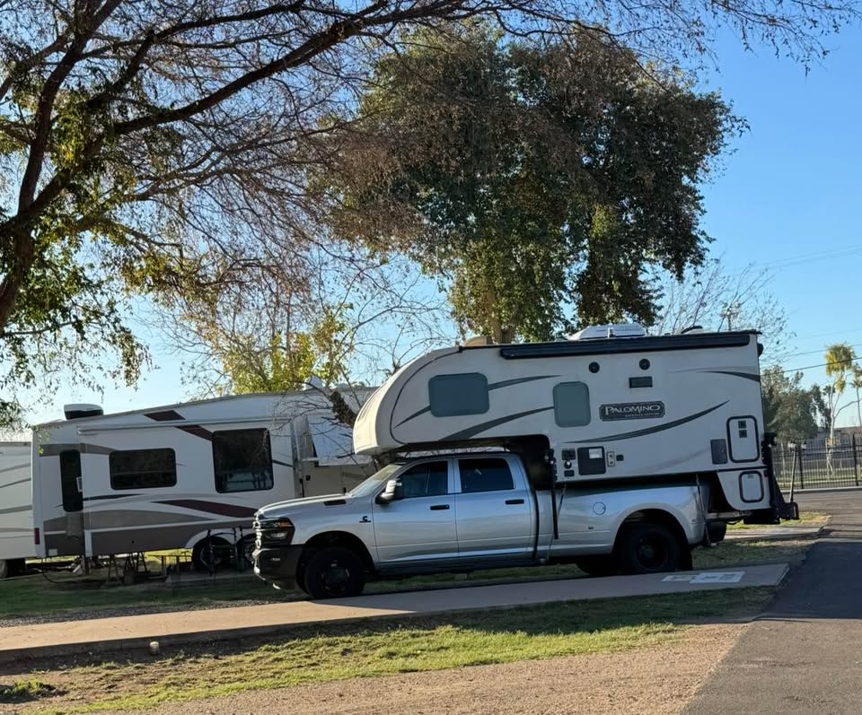 Palomino in Phoenix, AZ (photo 10)