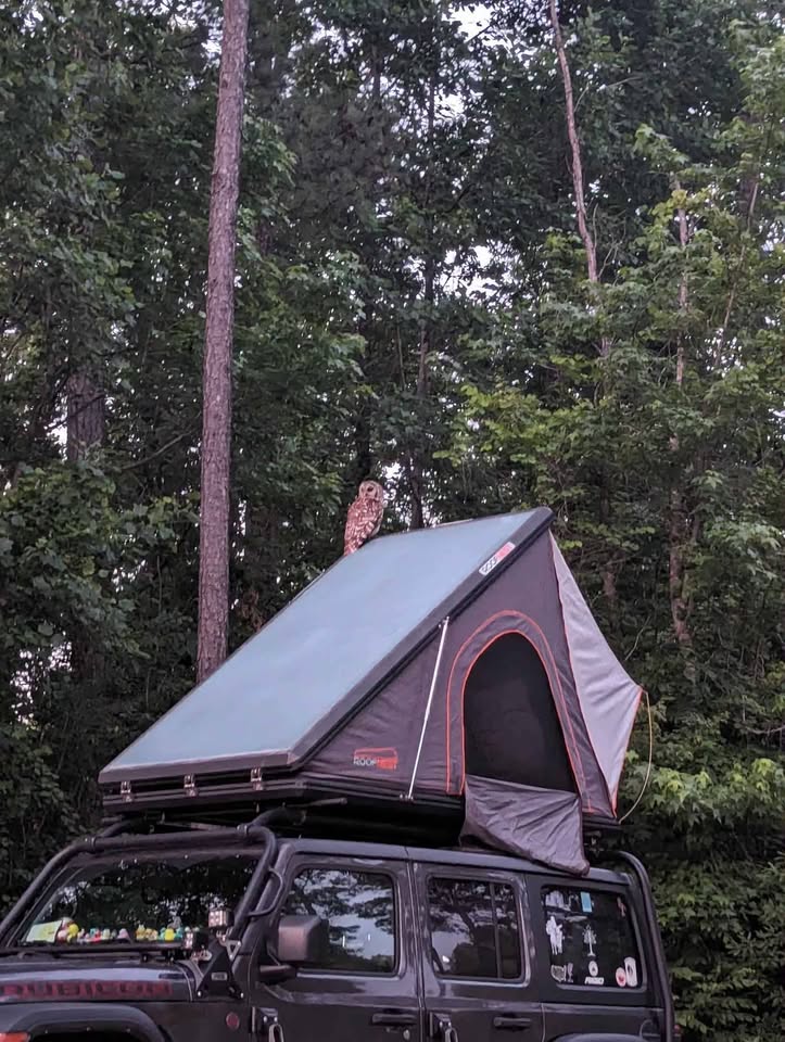Roofnest in Montpelier, VA (photo 6) — photo 6