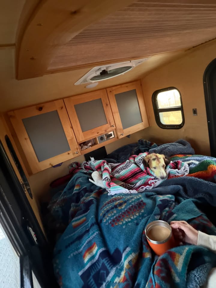 2019 Timberleaf Classic Off road in Farmington, UT (photo 12) — photo 12