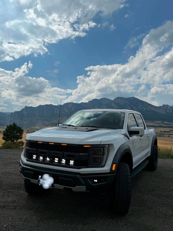 2023 Ford f-150 raptor (photo 1) — photo 1