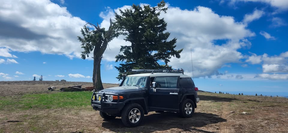 2007 Toyota FJ Cruiser (photo 2) — photo 2
