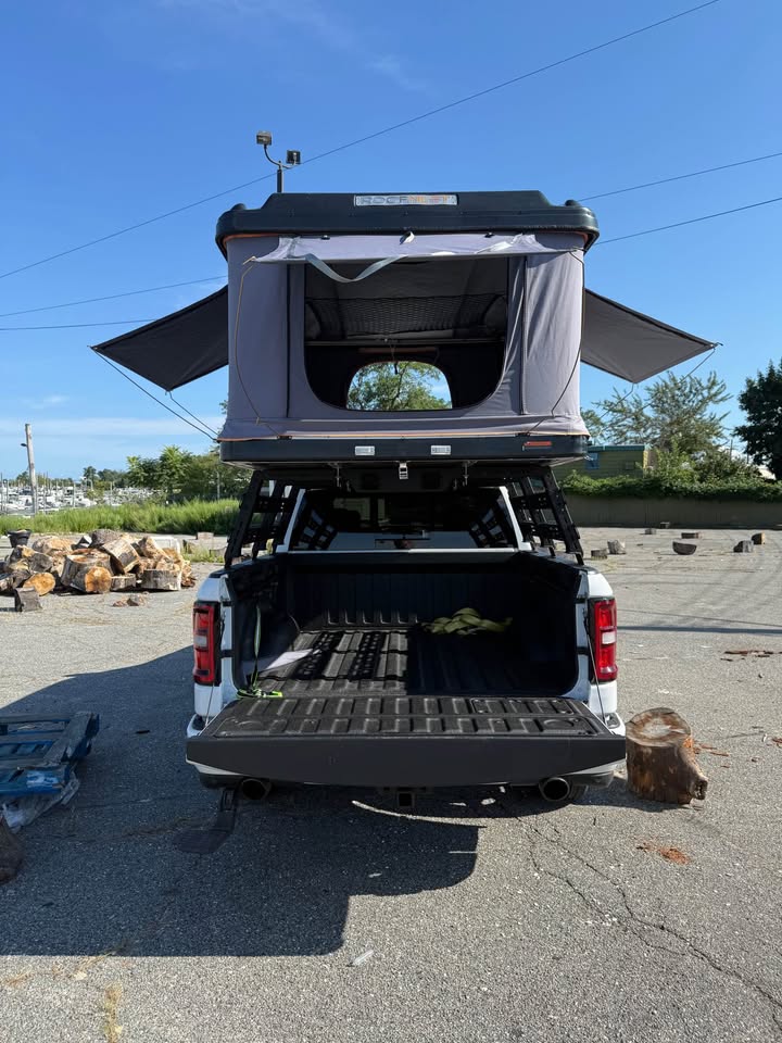 Roof nest sparrow & Bed Rack in Brooklyn, NY (photo 4) — photo 4