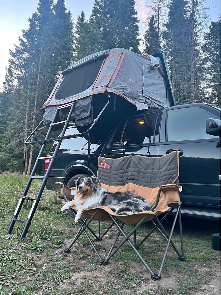 Roofnest Condor 2 XL in Littleton, CO (photo 1)