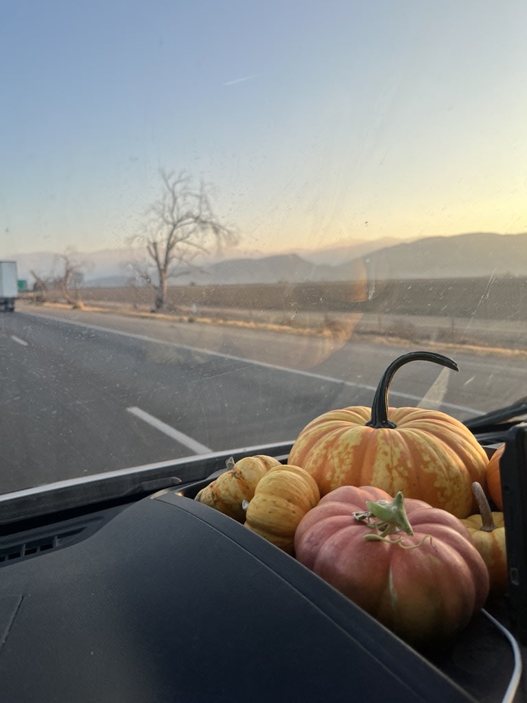 A festive autumn road trip in an RV rental, with gourds on the dash and a beautiful sunset over distant mountains.