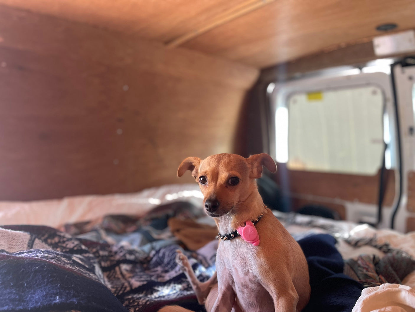 Daisy Mae Camper Van | 2001 Econoline E-250 | Unlimited Miles