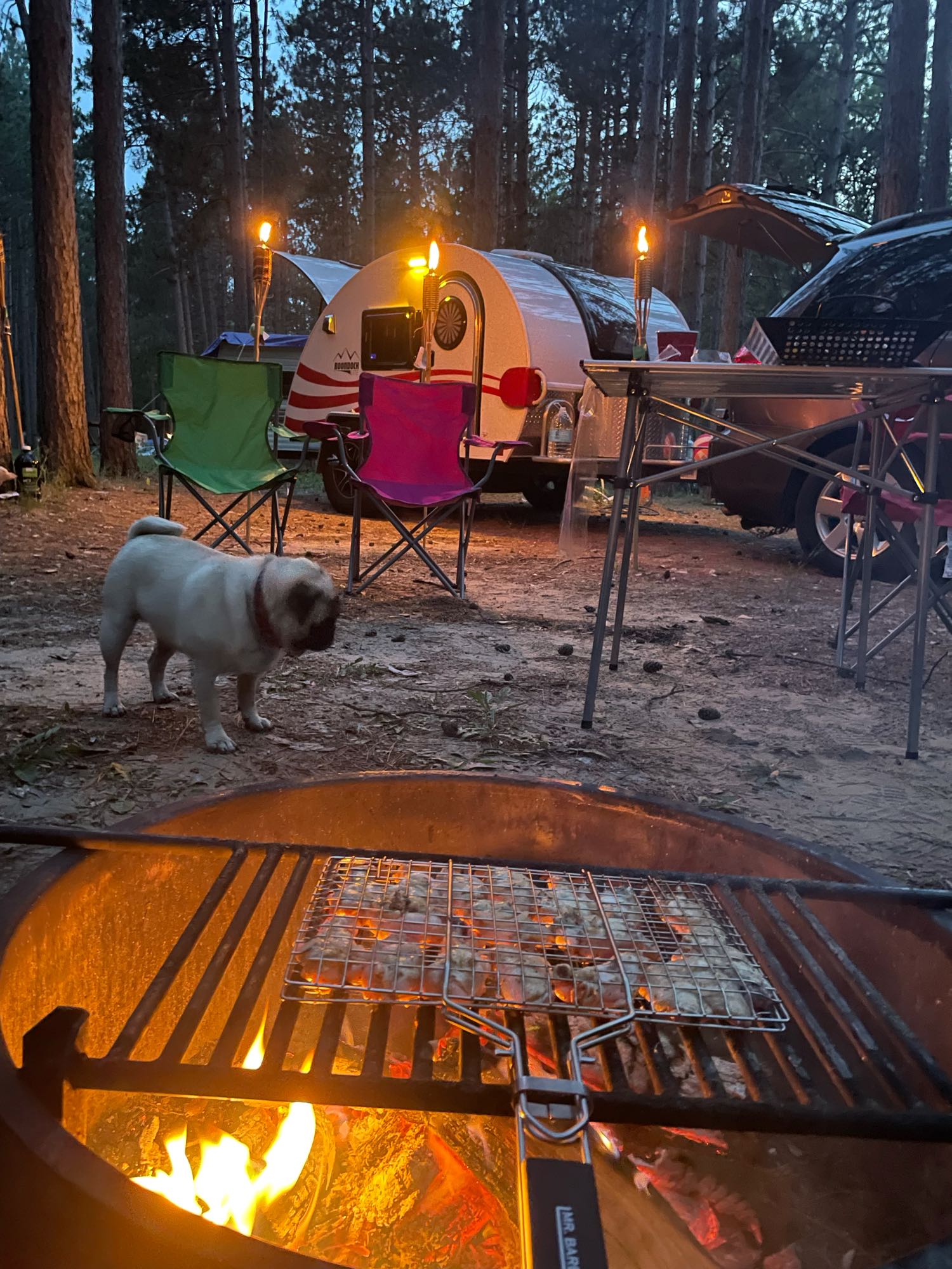 and wooden cabinets. Playful car-themed bedding adds a fun touch.|Inside a cozy RV rental: a bed with playful car bedding