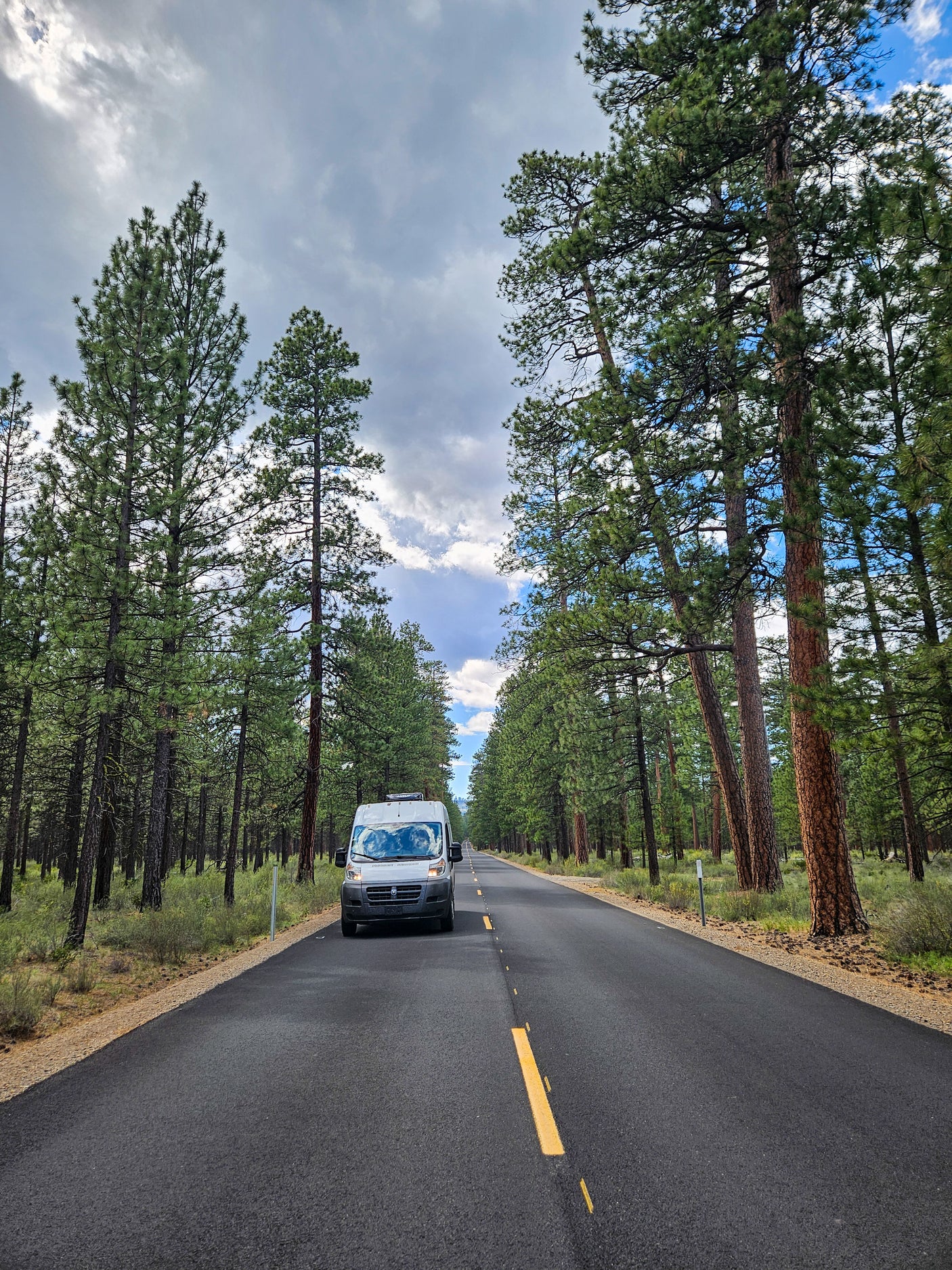 A white camper van, an ideal RV rental, is parked on a paved road through a tall pine forest with a partly cloudy sky overhead.