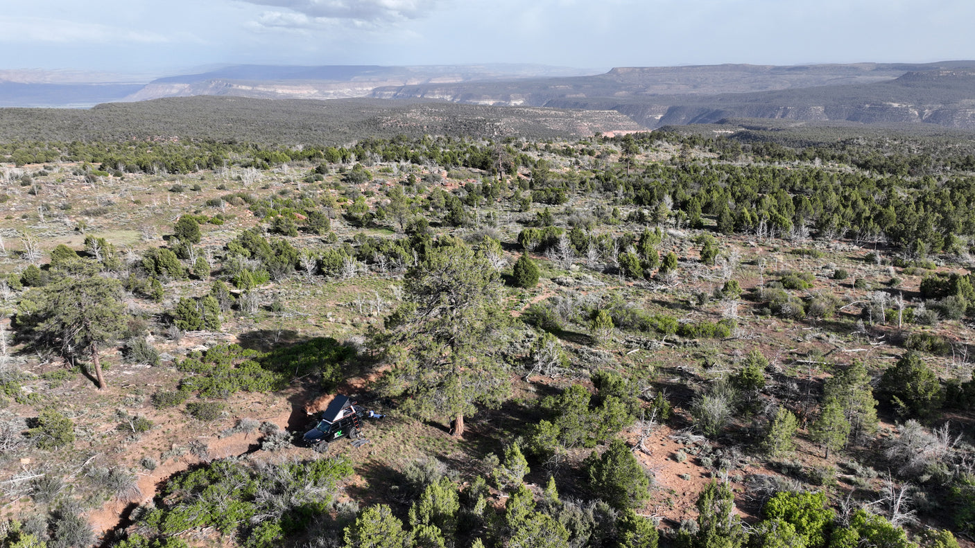 Experience outdoor adventure! An RV rental-ready truck with a rooftop tent is parked amidst trees in a vast, scenic landscape.