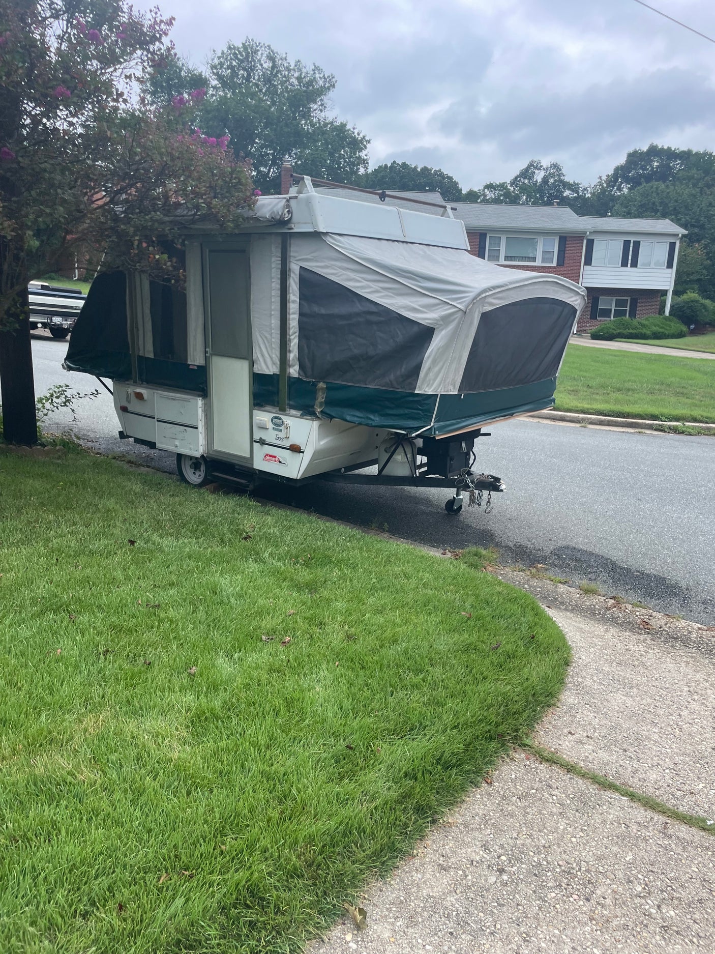 A Coleman Taos pop-up camper, an excellent RV rental option, parked on a grassy verge by a residential street.