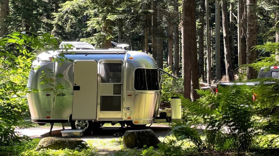 Shiny silver Airstream rv rental nestled in a sun-dappled forest campground