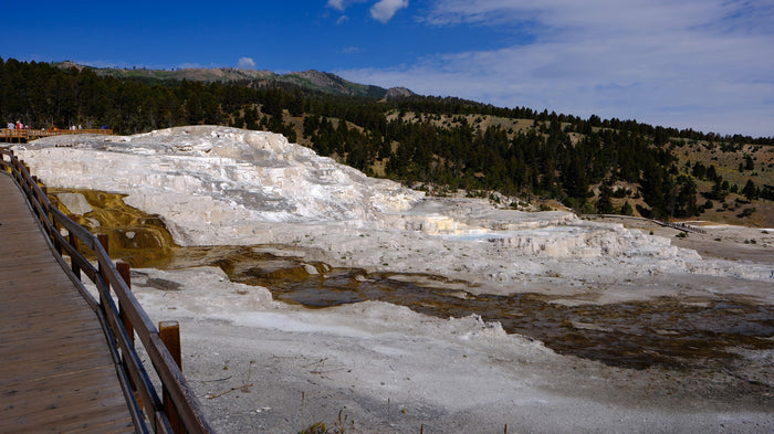 set in stone. Explore scenic hills by RV rental.|Gray Winnebago Revel rv rental parked at Yellowstone's iconic Roosevelt Arch