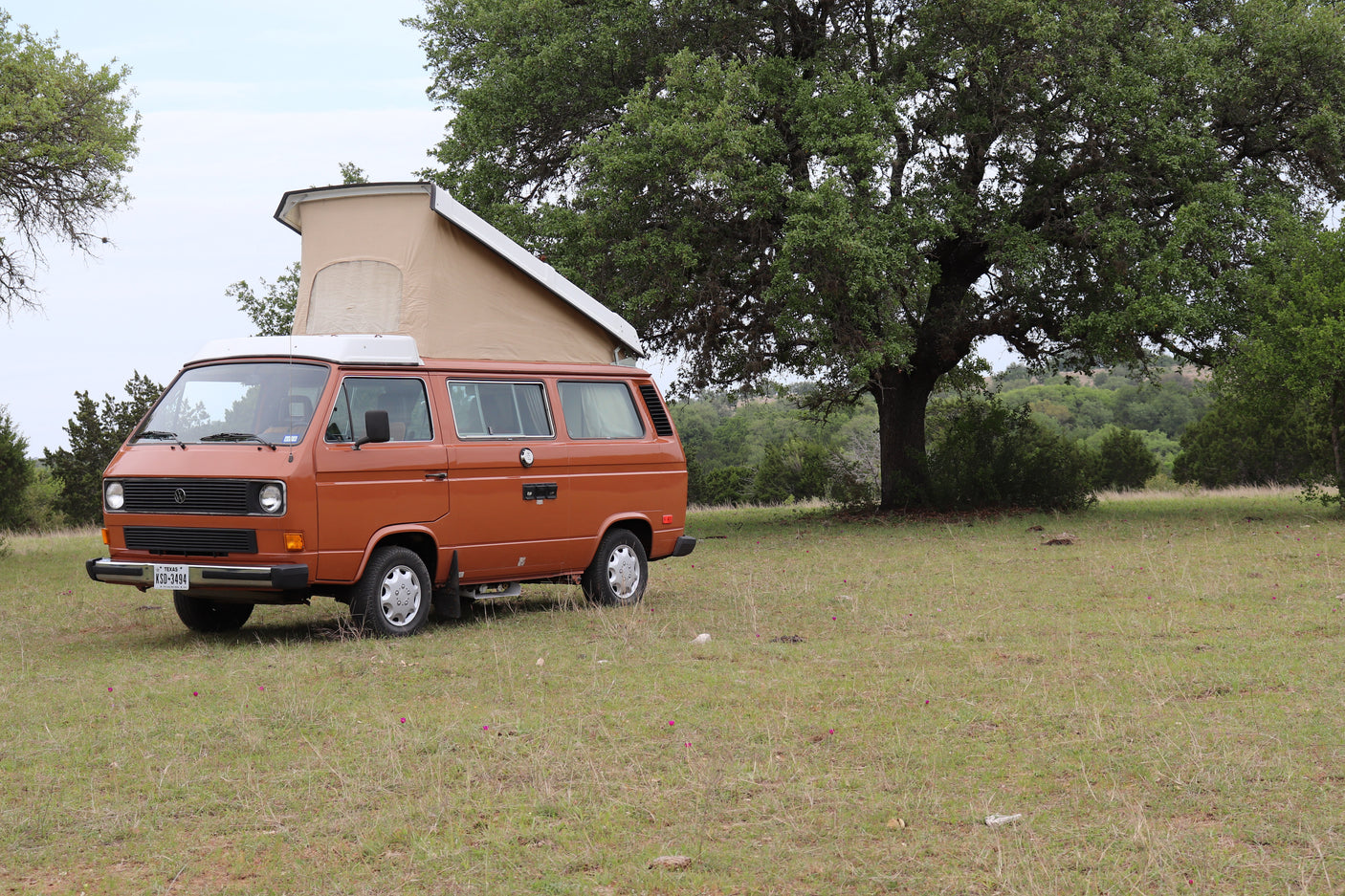 Orange pop-top VW camper van, ideal for RV rental adventures, parked in a grassy field with trees.
