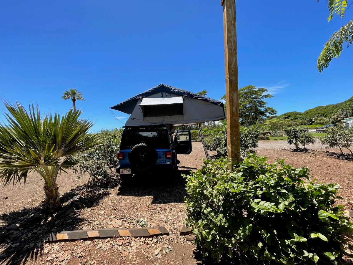 Blue Jeep with rooftop tent deployed at a sunny campsite. Ideal for your next RV rental outdoor adventure! — photo 15