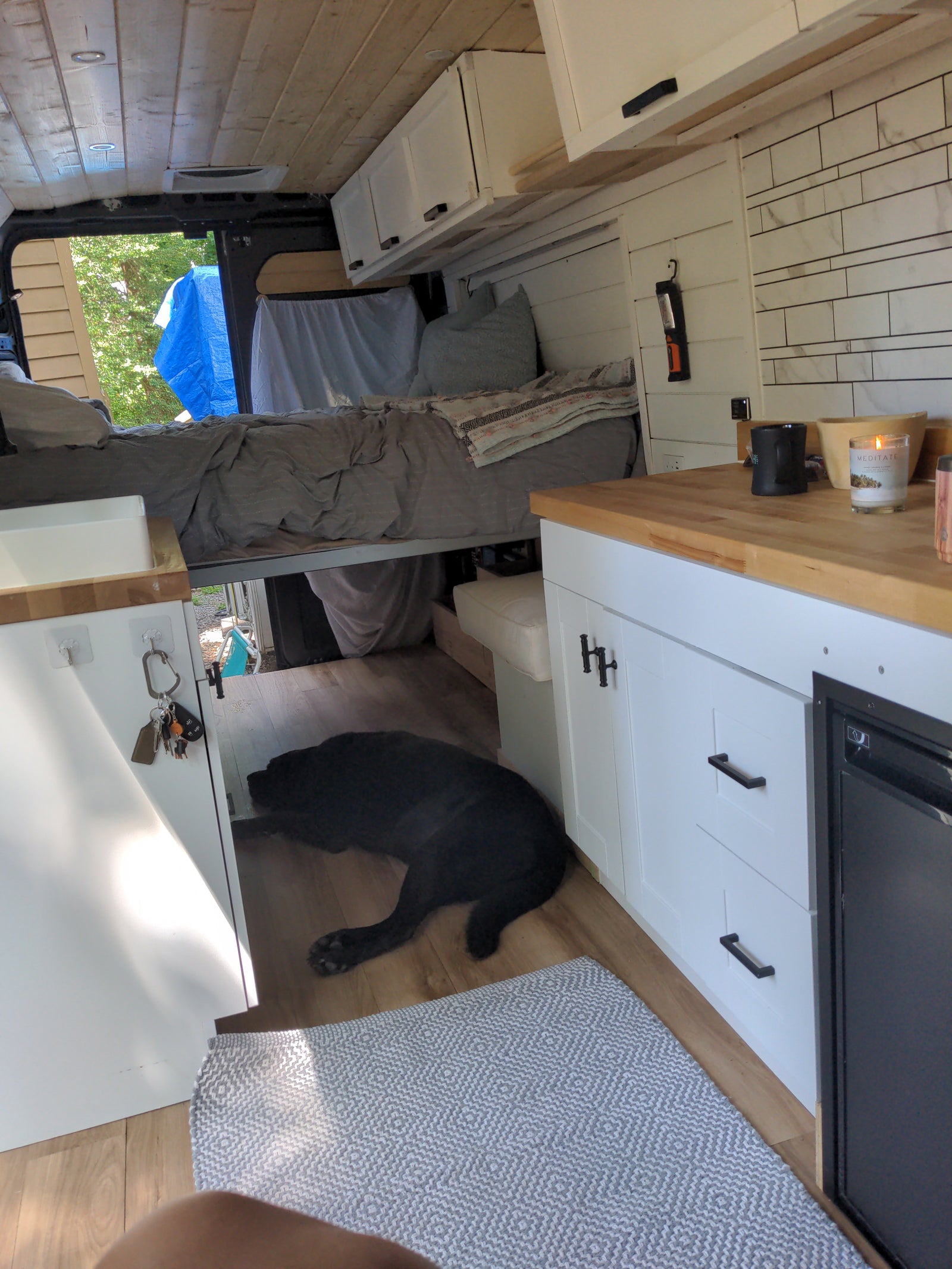 while a German Shepherd rests in their spacious rv rental