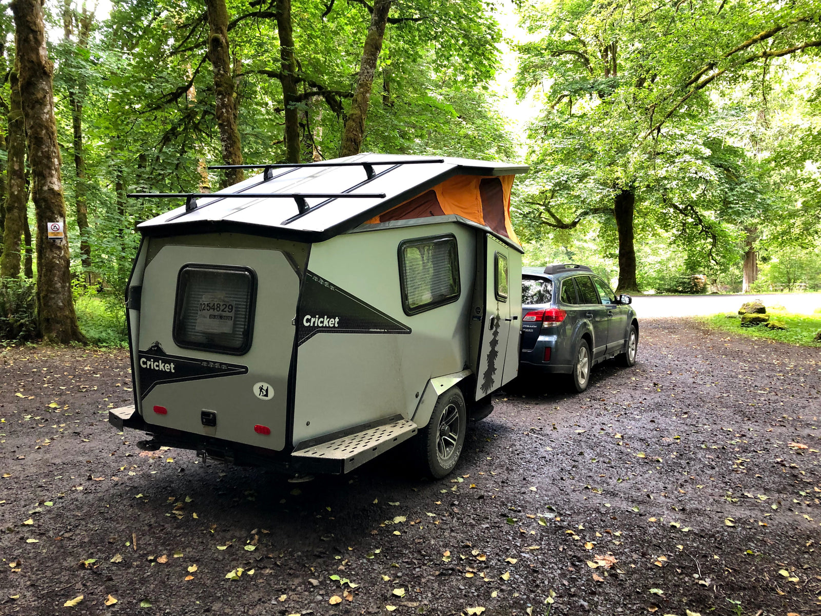 Explore nature with this Cricket compact camper trailer, perfect for **RV rental** adventures, hitched to a Subaru in a lush forest setting.