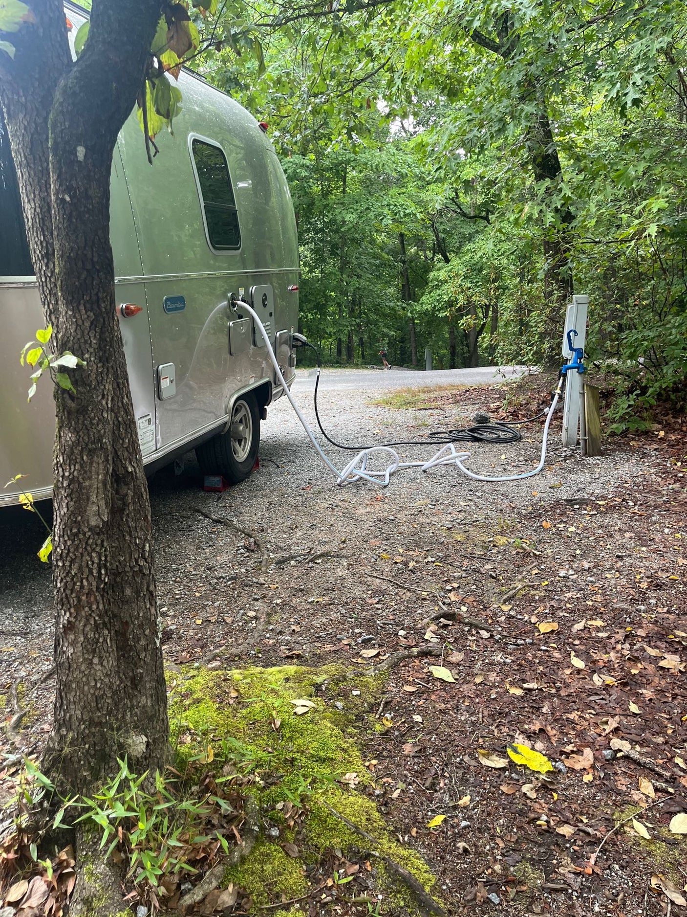 parked on a paved drive under autumn trees.|RV rental: A silver Airstream travel trailer hooked up at a tranquil
