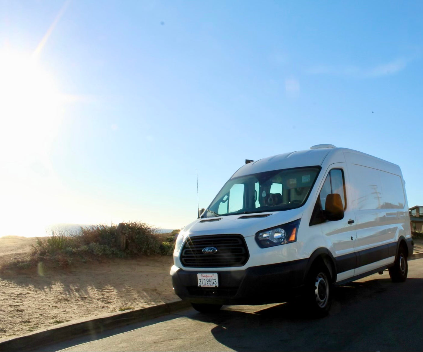 Sunny scene featuring a white Ford Transit camper van, available for RV rental, parked near the ocean. A dog sits inside.