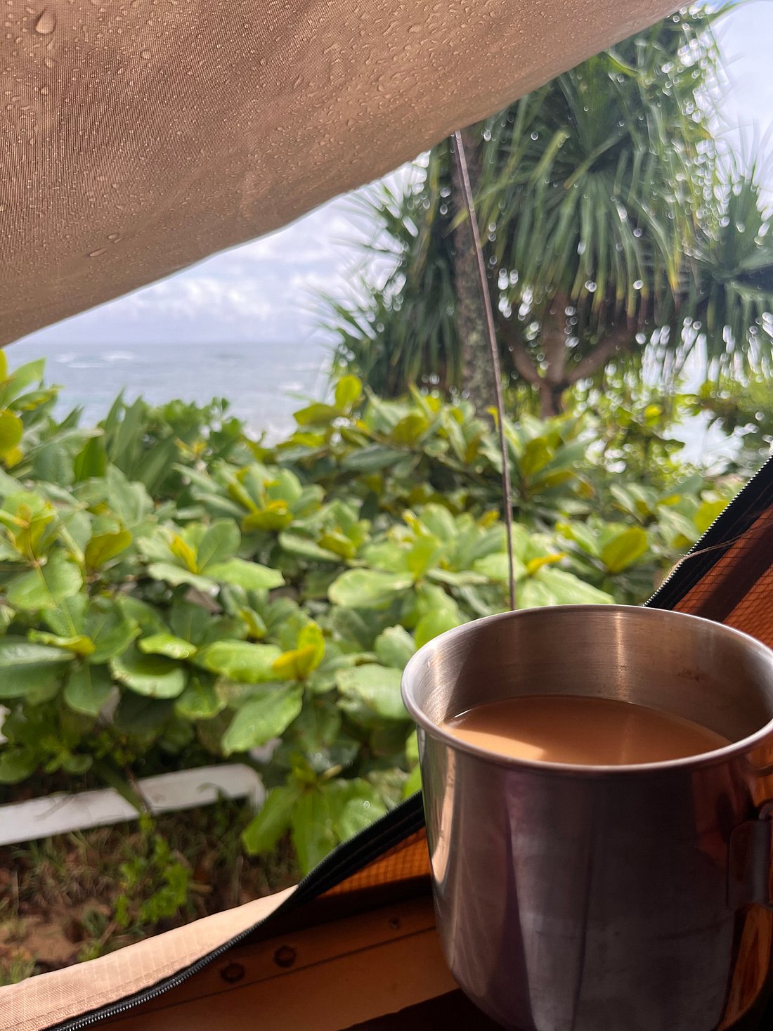 Warm drink in a metal mug from our RV rental, enjoying the rainy ocean view through the tent window.