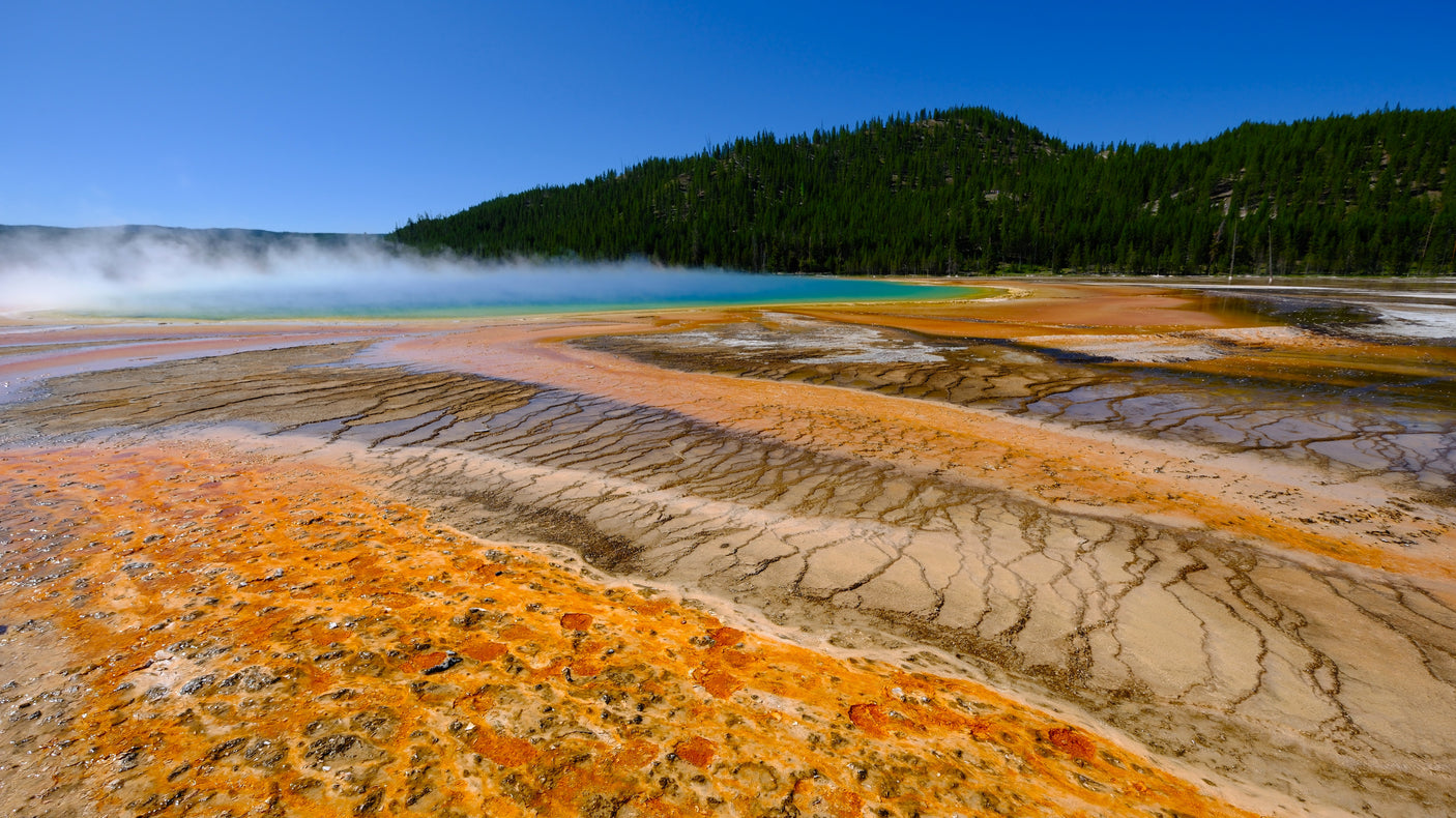 Yellowstone's vibrant Grand Prismatic Spring: colorful thermal mats, blue water, and steam. Plan your national park RV rental trip!