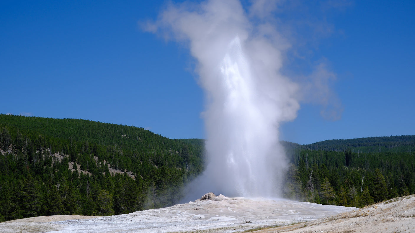 A powerful geyser erupts high into a blue sky in Yellowstone, surrounded by green forests. Plan your trip with an RV rental!
