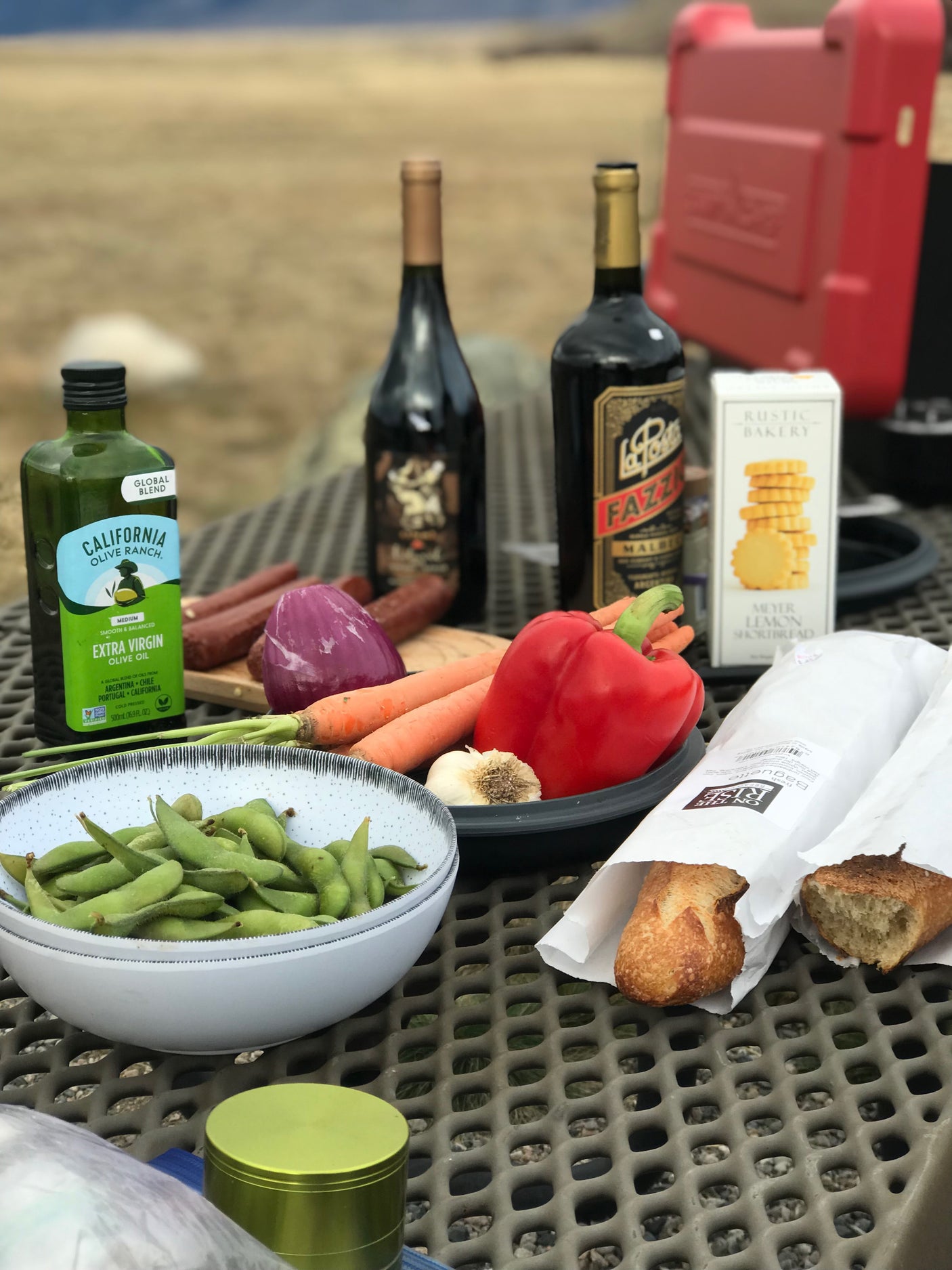 RV rental adventure means this picnic: wine, olive oil, fresh veggies, baguettes, and cookies on a mesh table.