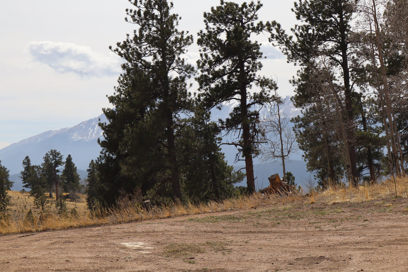 An RV rental journey through scenic mountain nature, with a dirt road, pine trees, and distant snow-capped peaks.