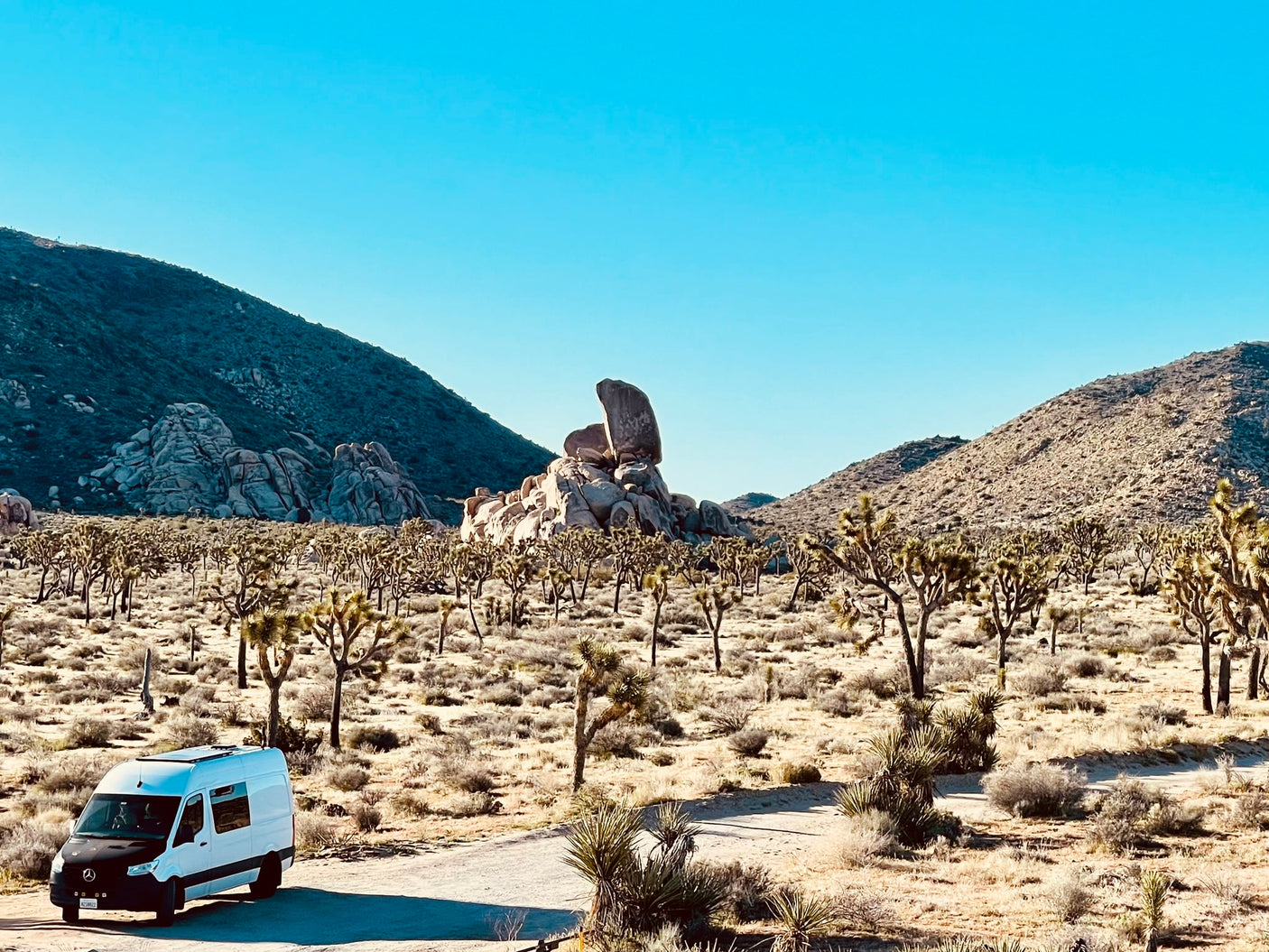 RV rental enjoying Joshua Tree National Park's desert landscape with rock formations and Joshua trees.