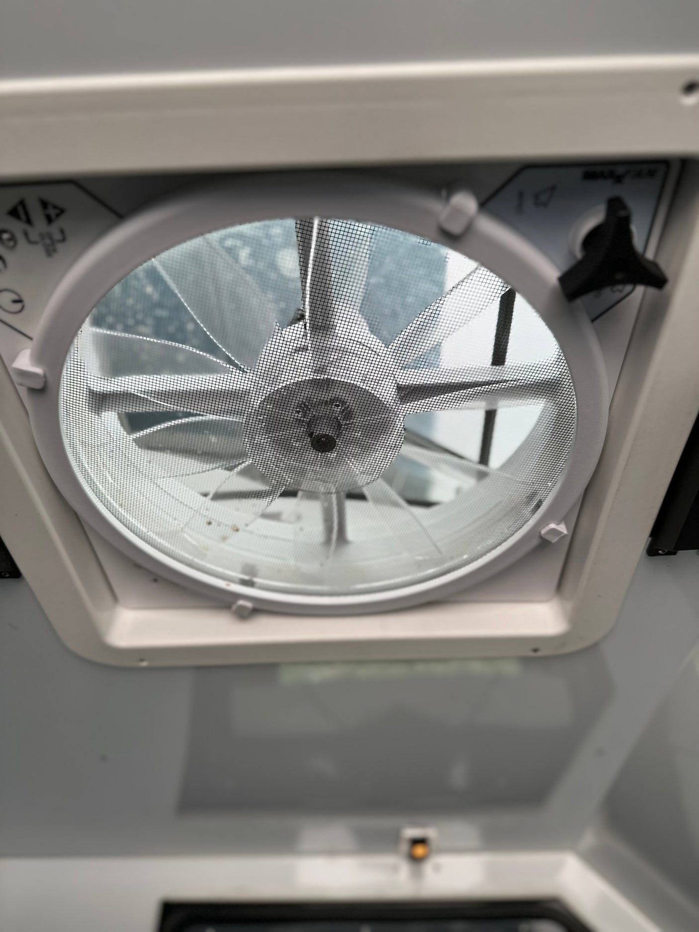 Low-angle view of an RV rental ceiling fan. Mesh screen, blades, and control knob visible for ventilation.