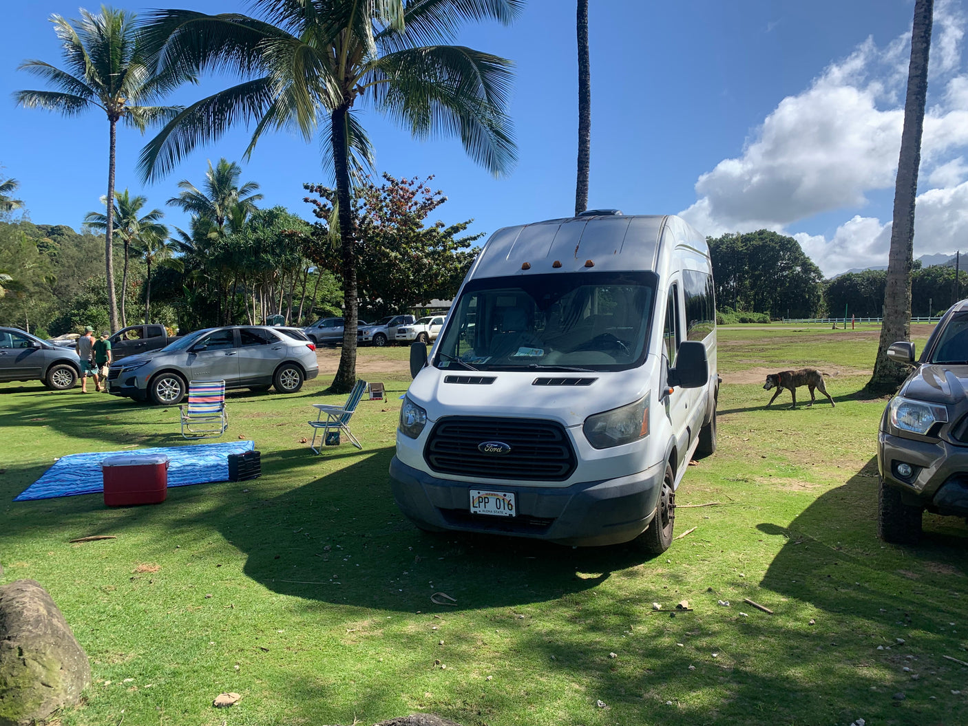 An rv rental van and picnic setup on green grass in a sunny Hawaiian park with palm trees, other cars, and a dog.