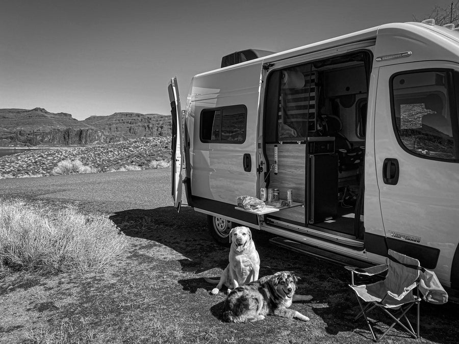 **RV rental**: A parked van, side door open, reveals its interior. Two dogs and a chair sit outside, with a desert canyon landscape behind them.